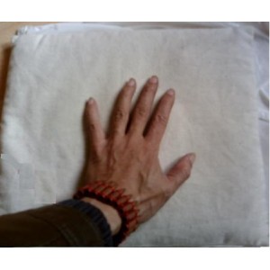 百日速成铁砂掌功