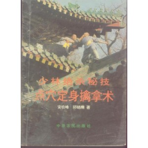 少林寺解密千年之迷+公布点穴da+fa