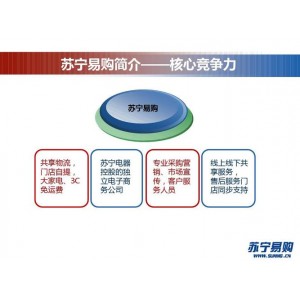 2010年「淘宝给力营销案例分析」
