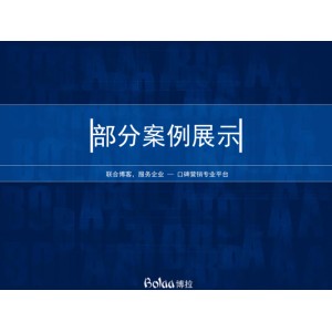 2010年「淘宝给力营销案例分析」