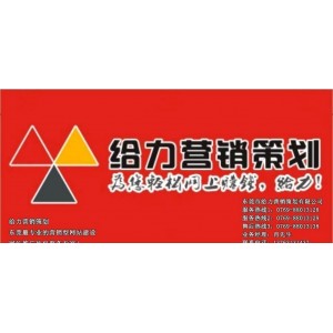 2010年「淘宝给力营销案例分析」