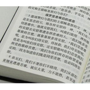 赢利圣经【微利时代的九大利润】突破法则