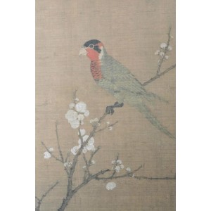 传承经典古籍高清扫描+《五色鹦鹉图o宋徽宗赵佶绘o美国波士顿美术馆藏本》