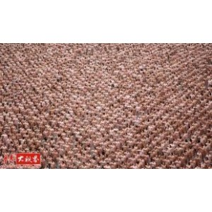 世界传世人体摄影