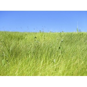 12月1最新版！【腾讯视频PC版11.34.4164去广告】绿色纯净版！