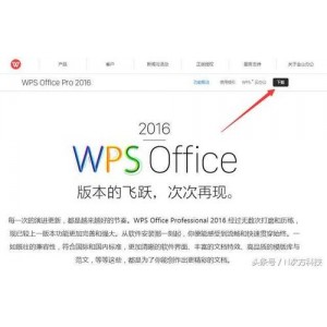 12月1最新版【WPS2019ProPlus.11.8.2.10专业增强自激活版】没有任何广告，让你安静办公!