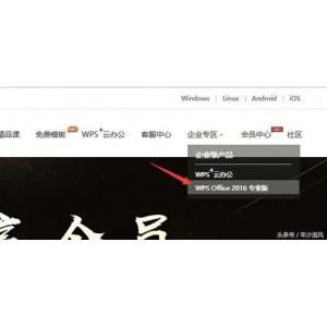 12月1最新版【WPS2019ProPlus.11.8.2.10专业增强自激活版】没有任何广告，让你安静办公!