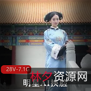 《精彩故事:明星AI换脸国产剧情视频合集》