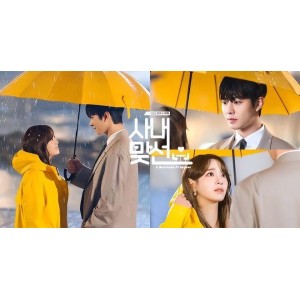 社内相亲：少女、闺蜜、富二代总裁的爱情故事