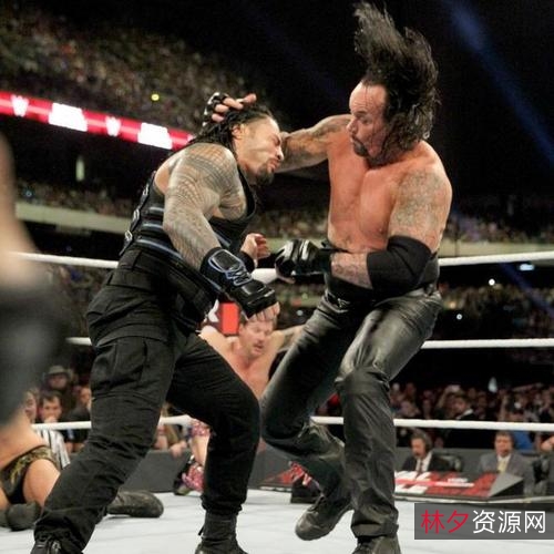 《生死之墙：伊拉克战争的残酷与悲剧性》