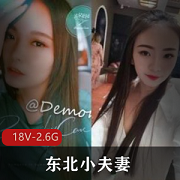 东北小夫妻网：招募实力单身小哥，伺候媳妇，见证真爱温暖