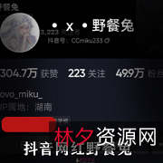 抖音网红野餐兔私拍视频:夏日里的清新风景与活力!