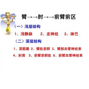 了解筋膜：从定义到预防，1-6步认识你的身体