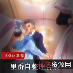 《里番超级大礼包38G:动画精品优质作品集》