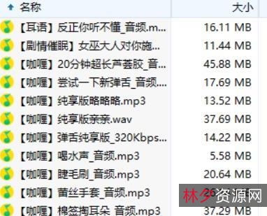 B站A失眠R舰长精选音频