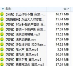 B站A失眠R舰长精选音频
