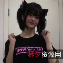 百度盘秒传-小羊合集220v1.04G多种下载