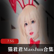 清凉一夏的猫君君MaoJun蕾姆贞德合集