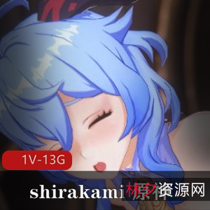 shirakami原神(崩坏三)作品合集：4K高清60FPS，时长24分钟20秒，1V-13G