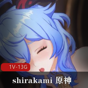 shirakami原神(崩坏三)作品合集：4K高清60FPS，时长24分钟20秒，1V-13G
