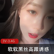 软软黑丝高跟诱惑主播付费资源-3V视频3.4G-腿美足系列福音