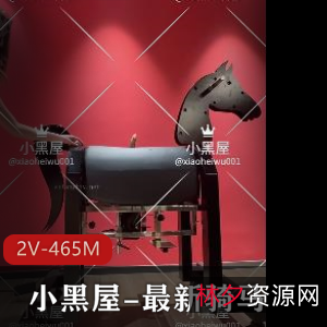 小黑屋-骑马抽C-2V-464M-爆火全网-功率超大-小腹-木马-互T-下载观看