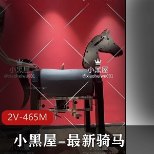 小黑屋-骑马抽C-2V-464M-爆火全网-功率超大-小腹-木马-互T-下载观看