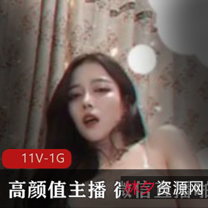 《神秘高颜值主播微信直播视频合集11v-1G》
