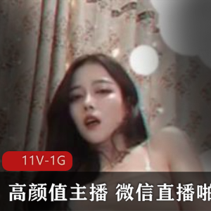 《神秘高颜值主播微信直播视频合集11v-1G》