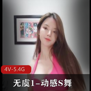 《动感S舞：舞蹈爱好者必看！5小时7部视频，作者自拍，身材颜值在线》