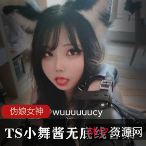 毒辣口味酱·无底线伪娘小舞合集