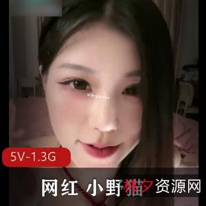 网红小野猫直播秀:反差大御姐身材,穿着打扮惊艳全场,道具秀棒棒糖带你开启视听盛宴!