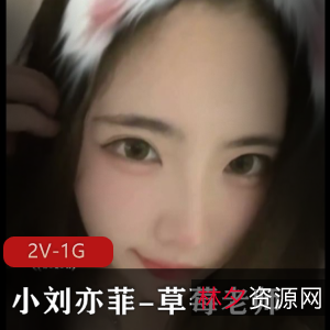 小刘亦菲-草莓老师-666大门槛福利[2V-1G]，车衣棒棒糖露脸S~宝宝