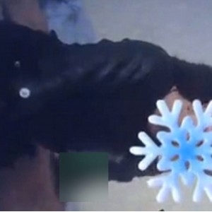 乱来剧情百度ED2K海角老银最新合集9V1.7G，精彩收藏