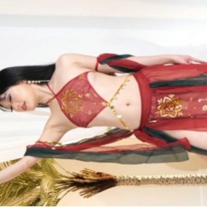 觅舞百度盘超精品舞者团队第4期合集16V7.37G，加密破解多风格