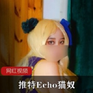 热辣作品Echo猫奴推特5GB300P优质肉感