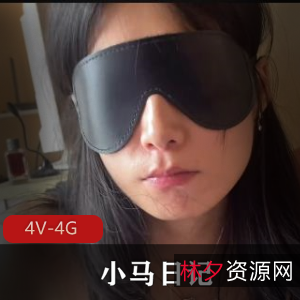 老司机精选小马日记11部4G流汁了