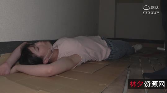 百度盘迷玩大神FC2暗黑王子全系列合集105部325G,女主身材优质