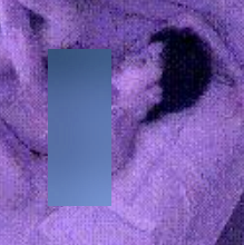 直击现场富商私人珍藏三段私密互动实拍1.74G劲爆资源